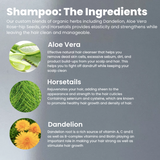 Clear Conscious Organic Shampoo